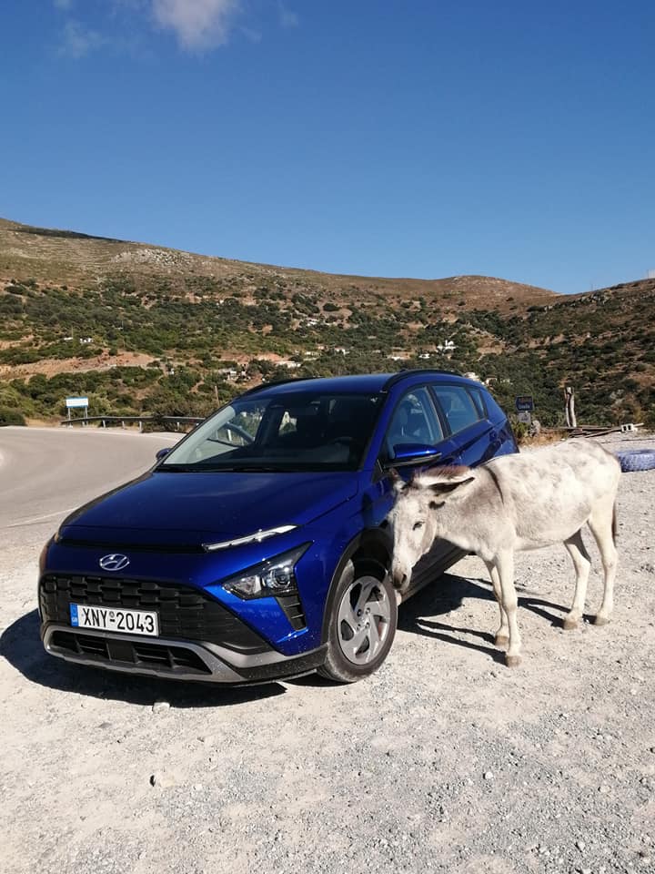 Akallis Rent a Car Agia Marina - Platanias, Old port Chania